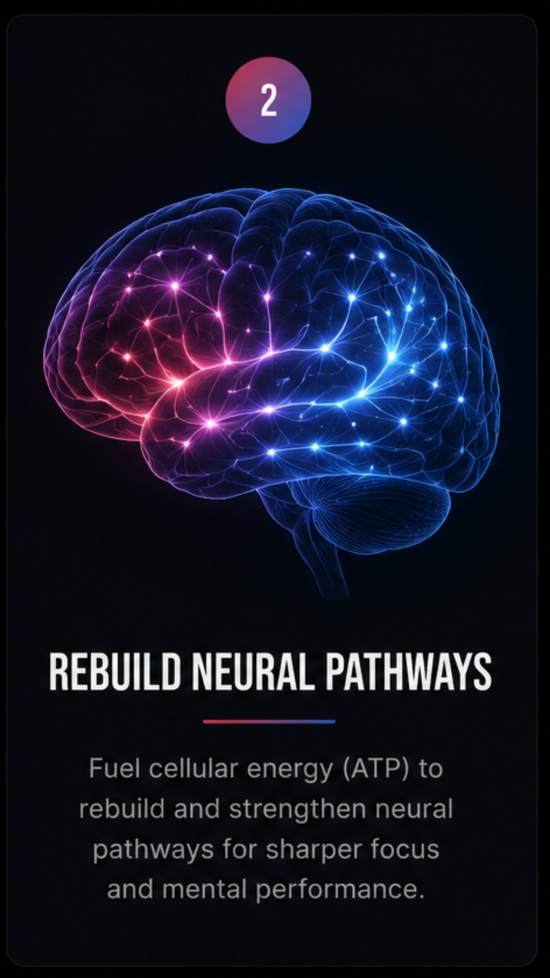 Rebuild Neural Pathways