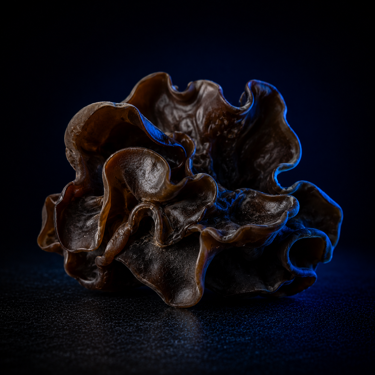 Black Fungus mushroom extract