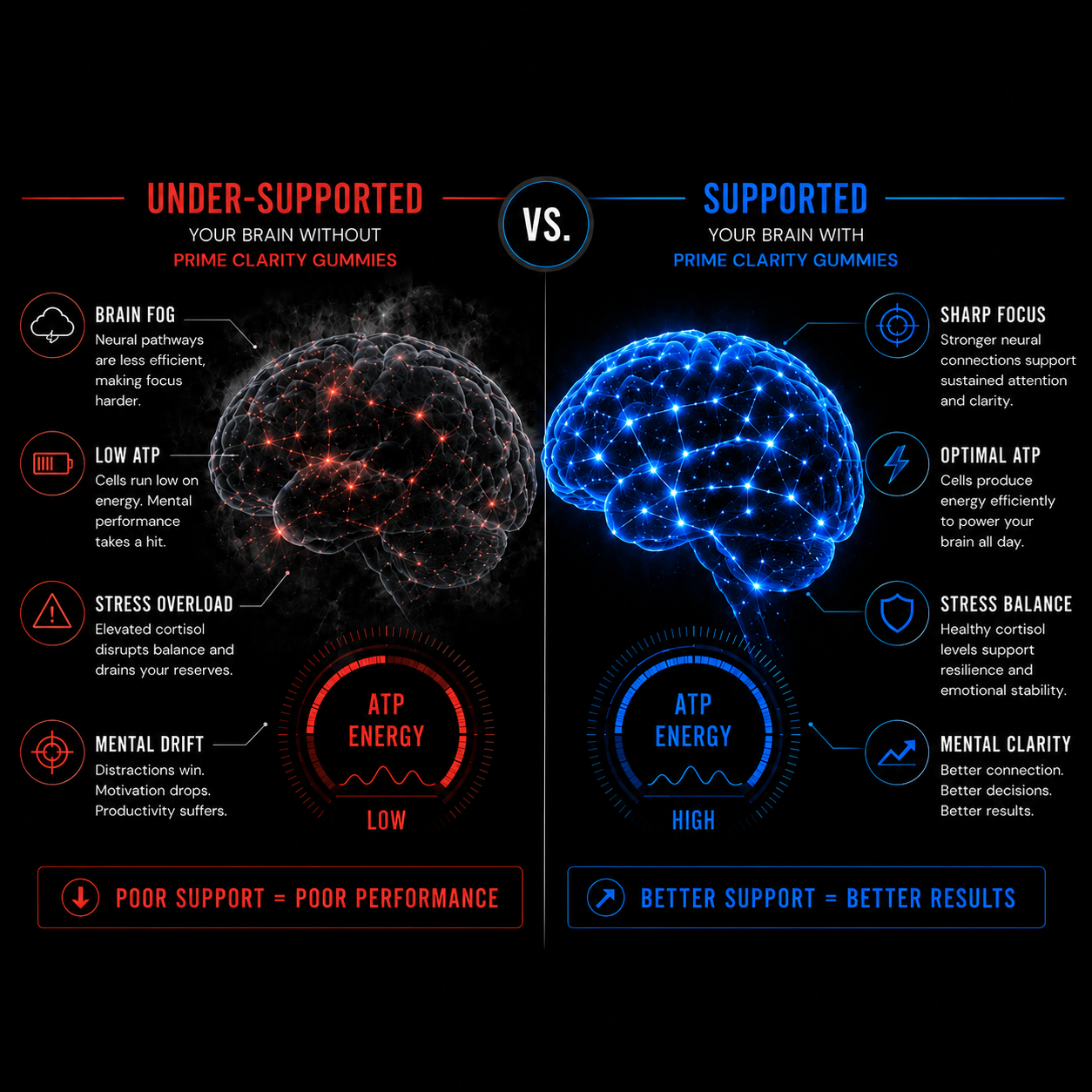 Under-supported vs supported brain comparison