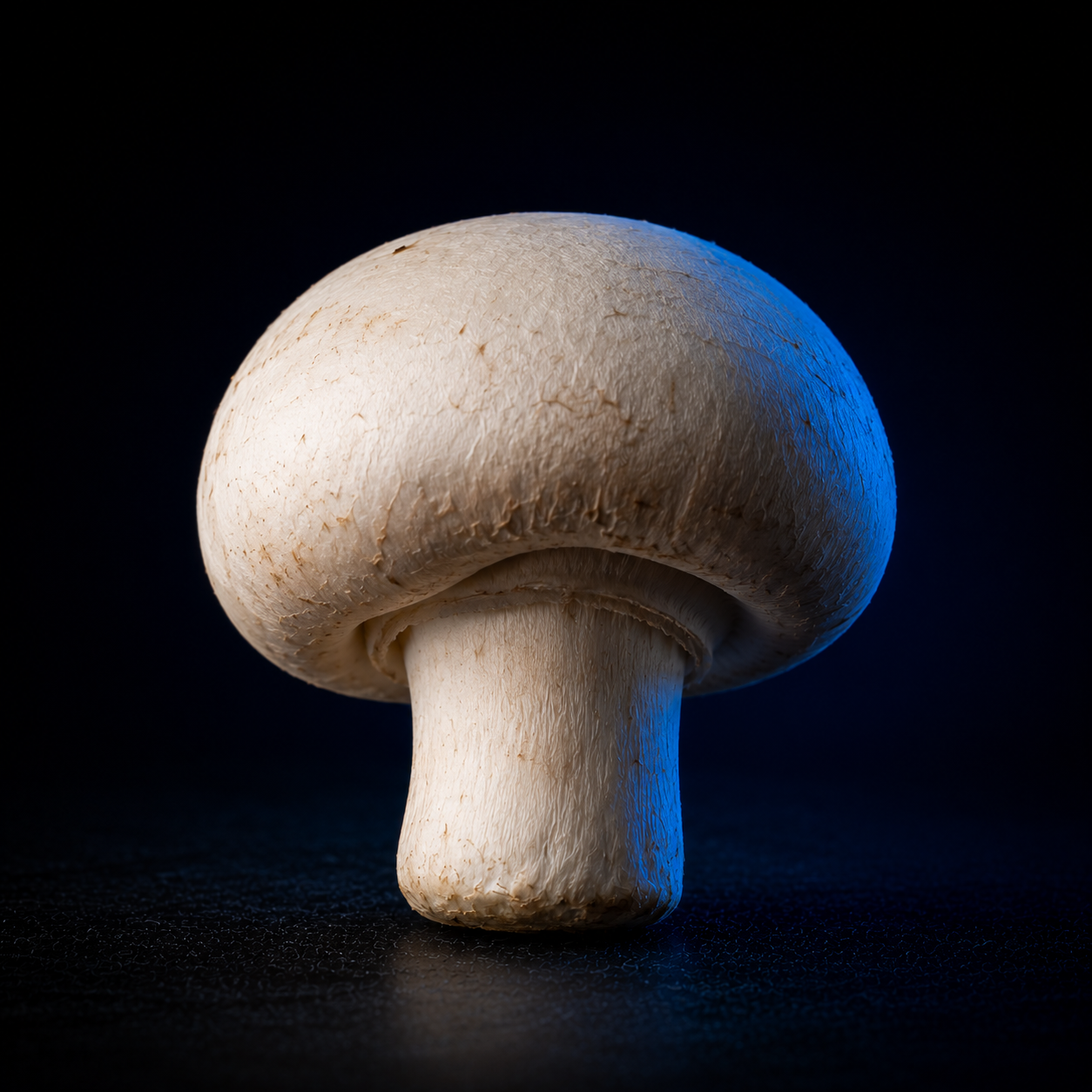 White Button mushroom extract